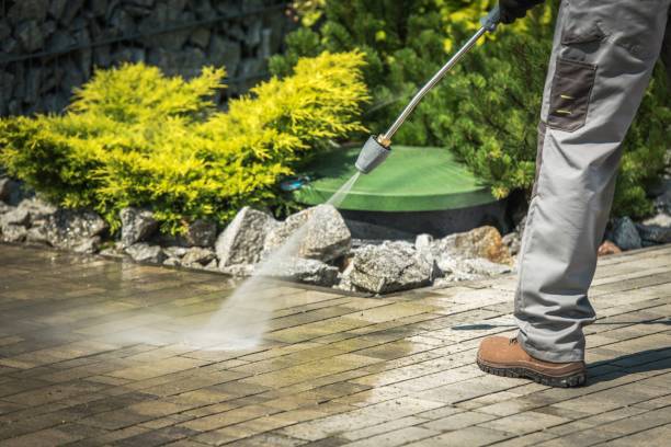 Best Pre-Holiday Cleaning  in Alsip, IL